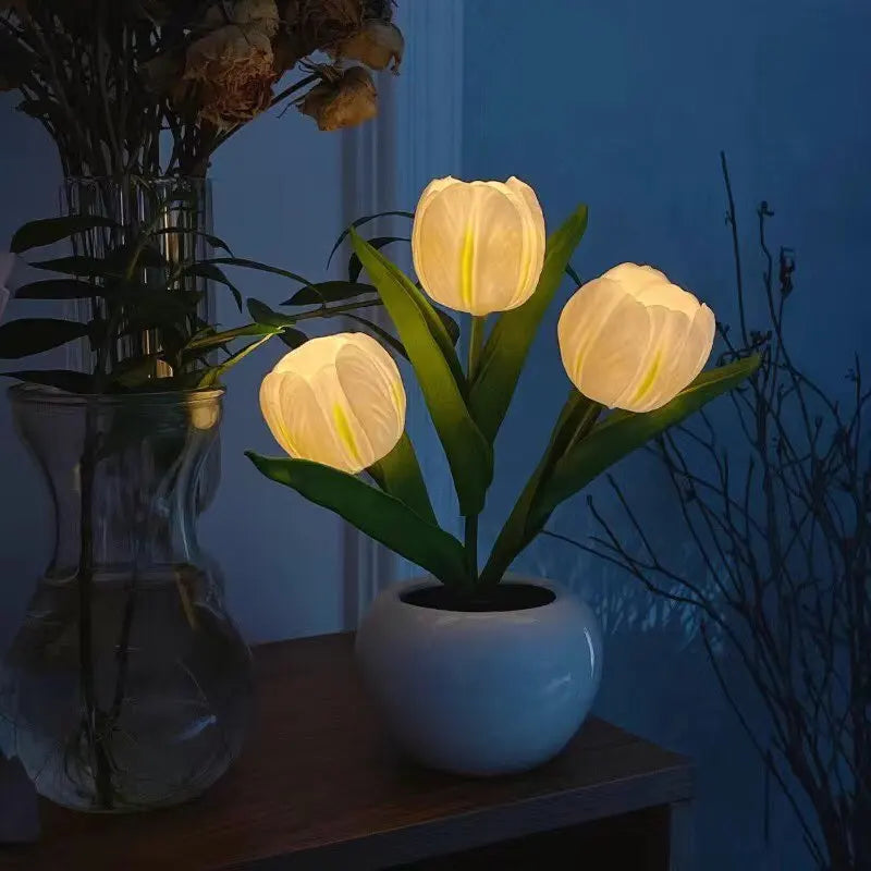 IlluminateTulip™