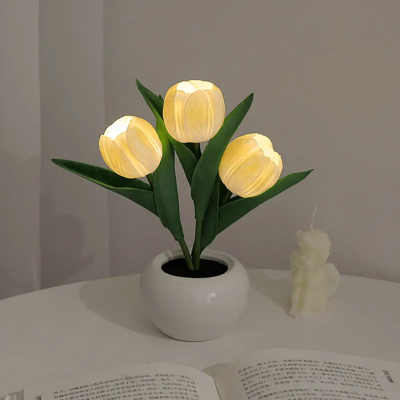 IlluminateTulip™