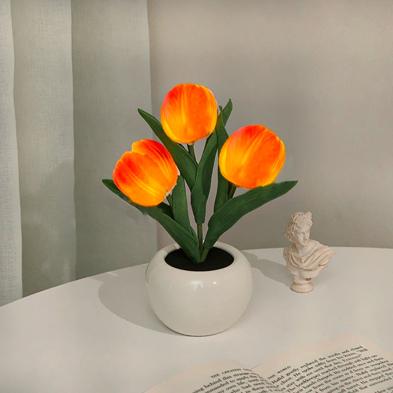 IlluminateTulip™